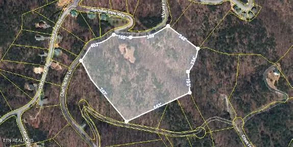 Sevierville, TN 37862,Chamberlain Ln LN