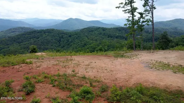 Sevierville, TN 37862,Chamberlain Ln LN