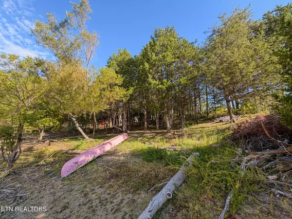 Sevierville, TN 37876,2859 Buck Horn Rd