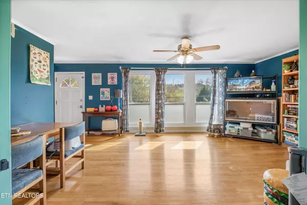 Knoxville, TN 37912,2401 Capri DR