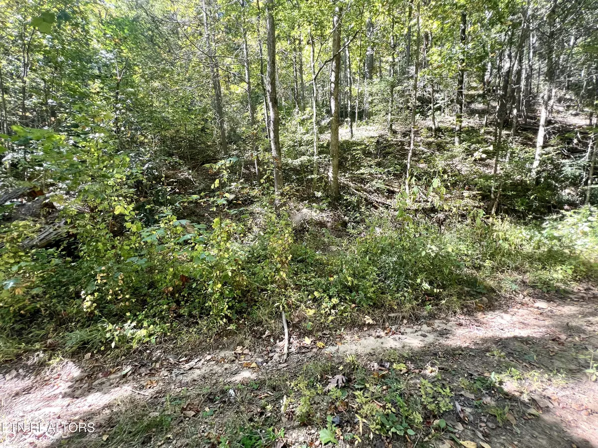 Sevierville, TN 37876,Lot 40 Lin Creek Road