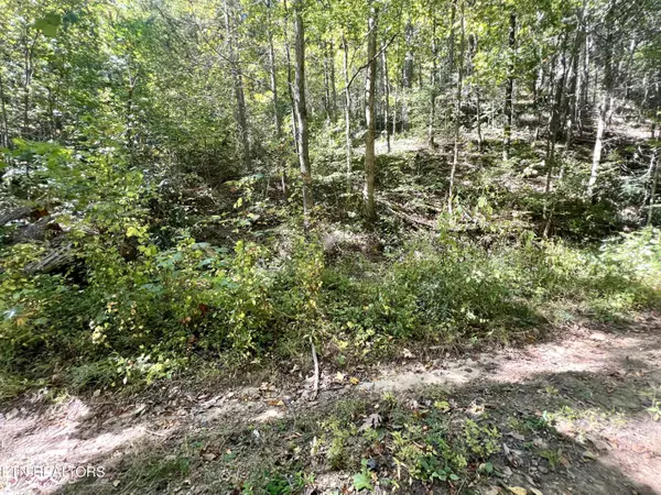 Lot 40 Lin Creek Road, Sevierville, TN 37876