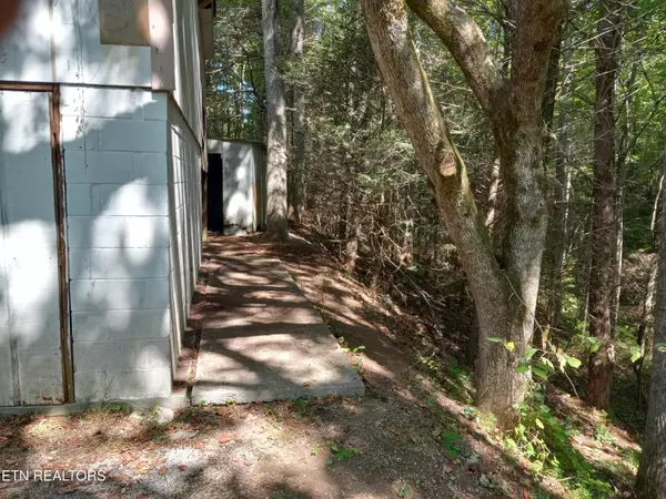 Tellico Plains, TN 37385,323 McJunkin Rd