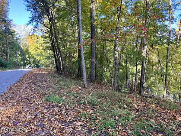 Crossville, TN 38558,159 Pineridge LOOP