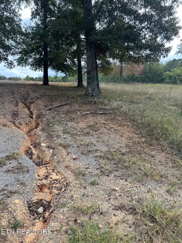 Athens, TN 37303,Lot 2 A Highway 39