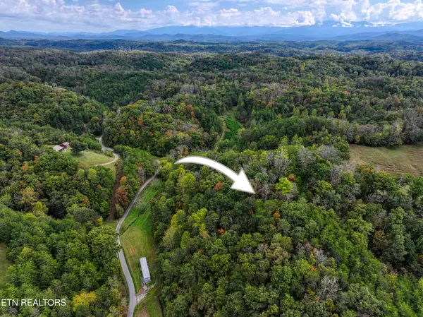 Sevierville, TN 37876,2521 Audley Moore Rd