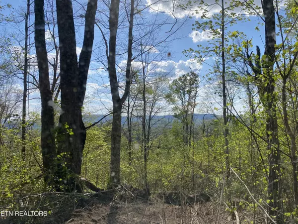 Mcminnville, TN 37110,103 AC Harrison Ferry Rd