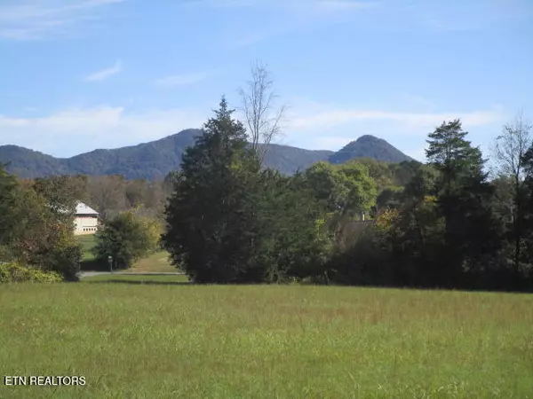 Corryton, TN 37721,9352 Davis DR
