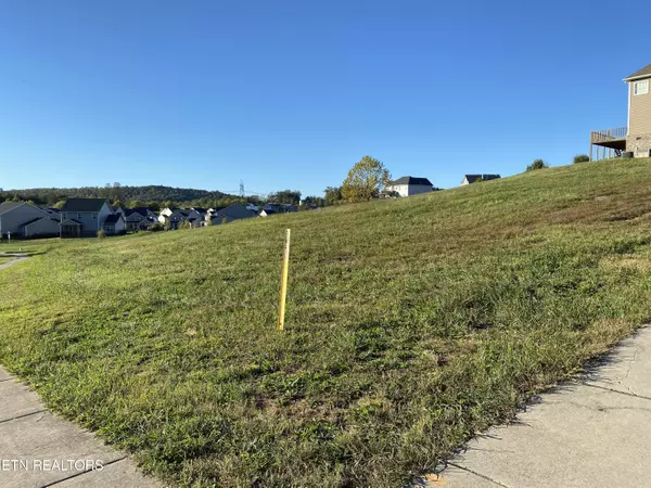 Oak Ridge, TN 37830,81 Elderberry St
