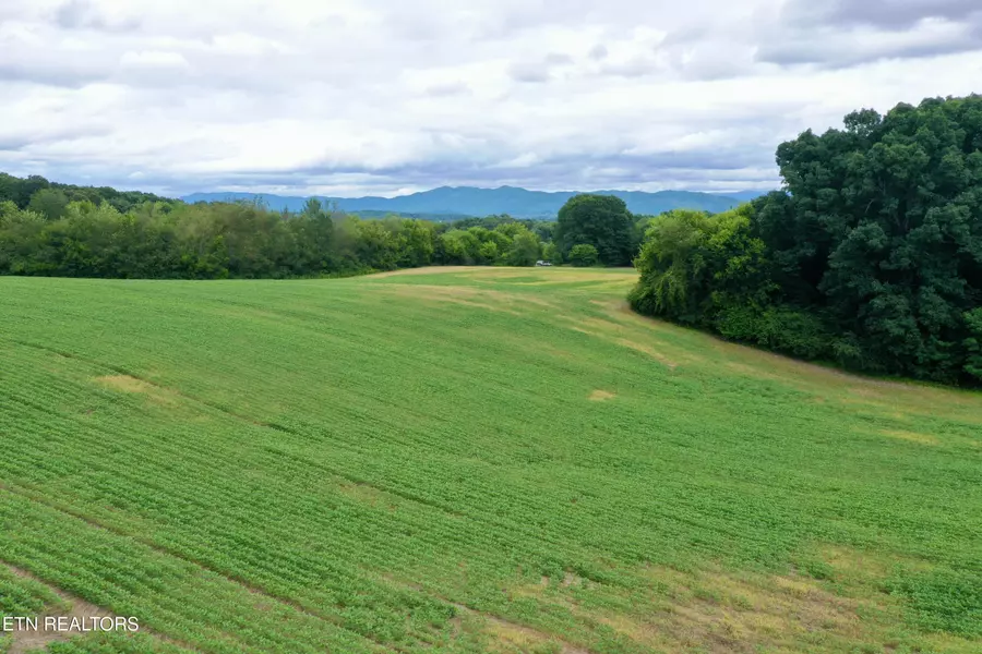 141 Saratoga DR, Maryville, TN 37804