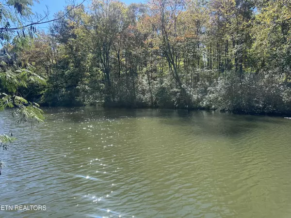 203 Blue Heron Dr. DR, Harriman, TN 37748