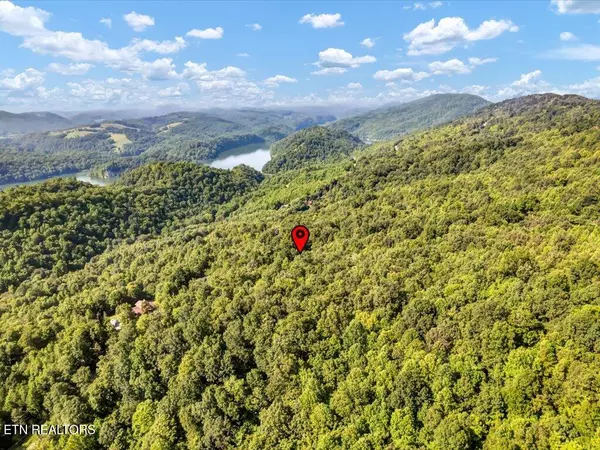 New Tazewell, TN 37825,Lot 508 Hidden Springs Rd