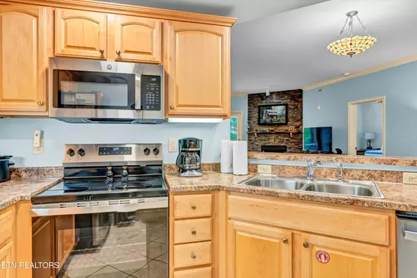 Gatlinburg, TN 37738,214 Woliss LN #101
