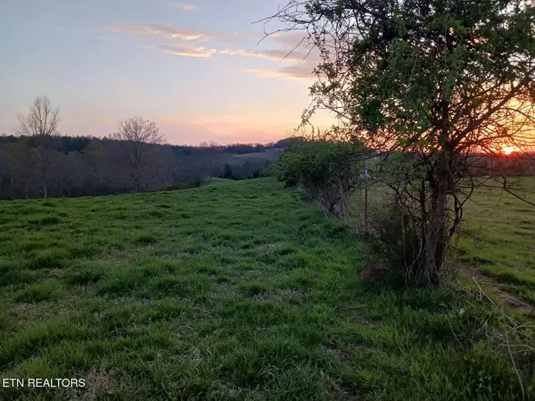 Maryville, TN 37801,1239 Trigonia Rd