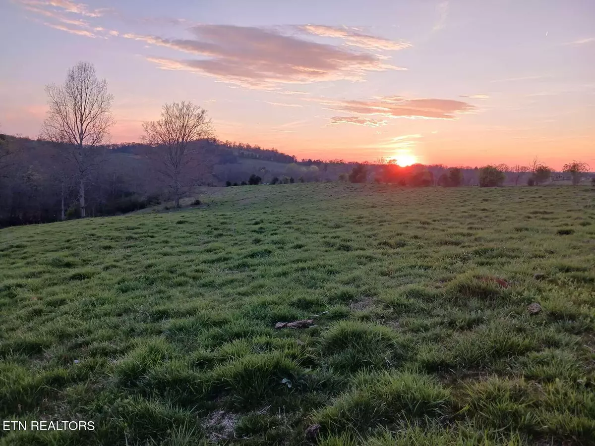 Maryville, TN 37801,1239 Trigonia Rd