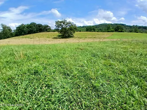 Maryville, TN 37801,1239 Trigonia Rd