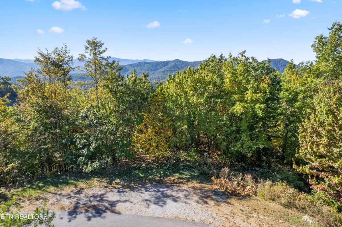 Sevierville, TN 37862,LT 111E Settlers View LN
