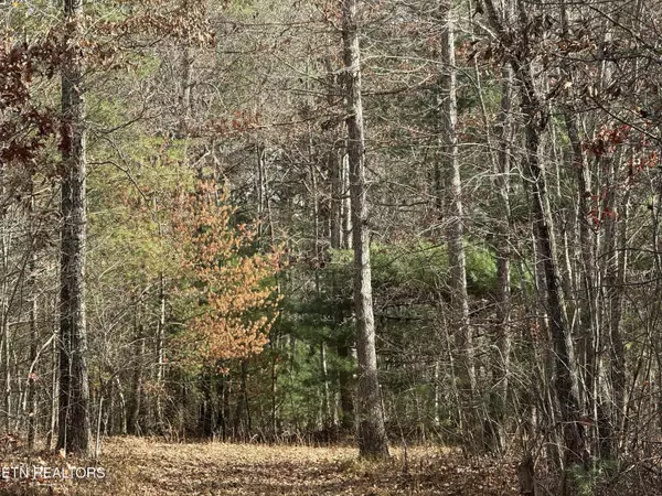 Deer Lodge, TN 37726,10.77 Acres - Valerie DR