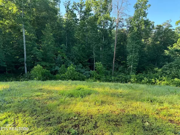 Andersonville, TN 37705,330 Dark Hollow Rd