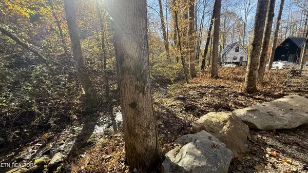 Gatlinburg, TN 37738,216 Braydens WAY