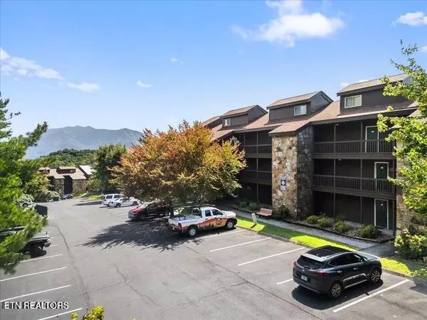 Gatlinburg, TN 37738,1380 Ski View DR #2202