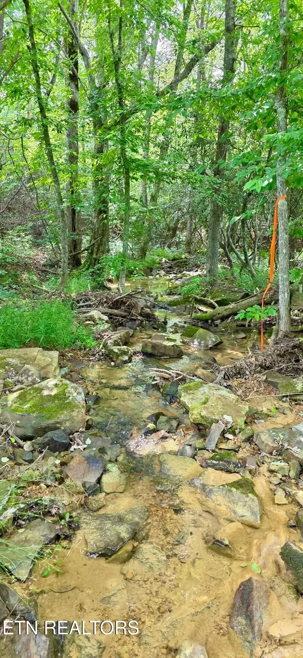 Dunlap, TN 37327,5520 TN-399