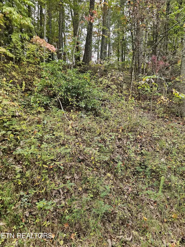 Tallassee, TN 37878,0.16 Acres Lindsey St