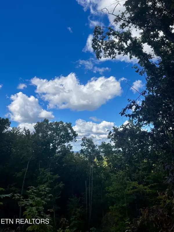 Sevierville, TN 37876,1724 Dogwood LN