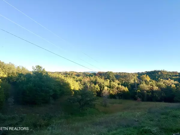 Sevierville, TN 37876,841 Guffy Hollow Rd