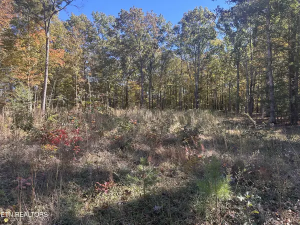 Jamestown, TN 38556,796 Dubose DR