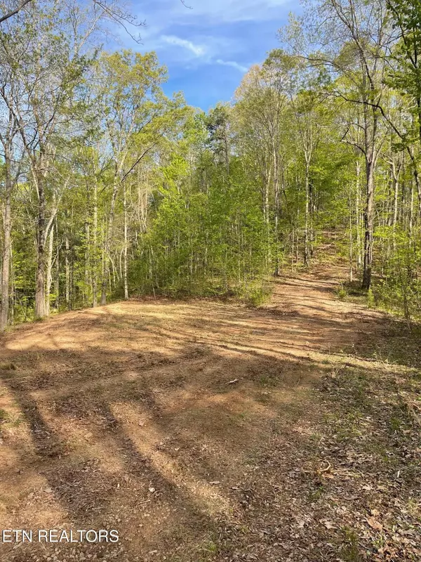 Ten Mile, TN 37880,236 Branham LN