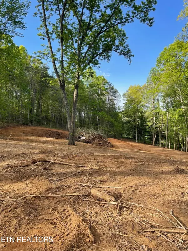 Ten Mile, TN 37880,236 Branham LN