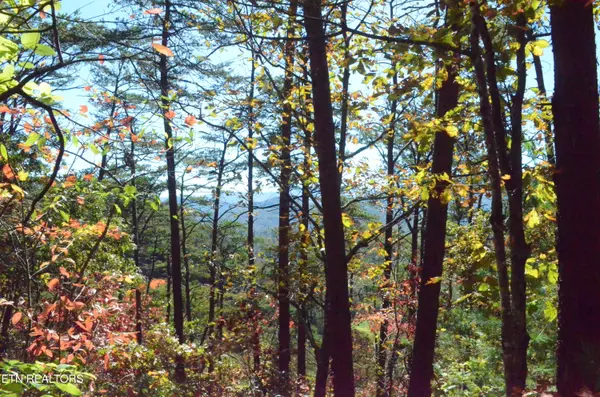 Townsend, TN 37882,Lot36R Mountain Retreat Rd