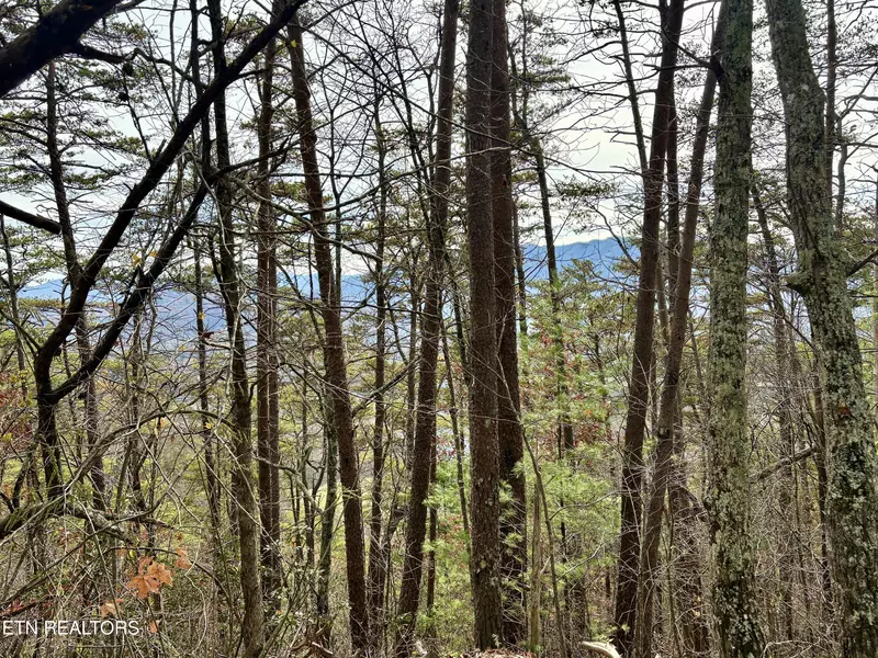 Lot36R Mountain Retreat Rd, Townsend, TN 37882