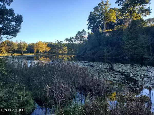 Helenwood, TN 37755,2036 Helenwood Detour Rd