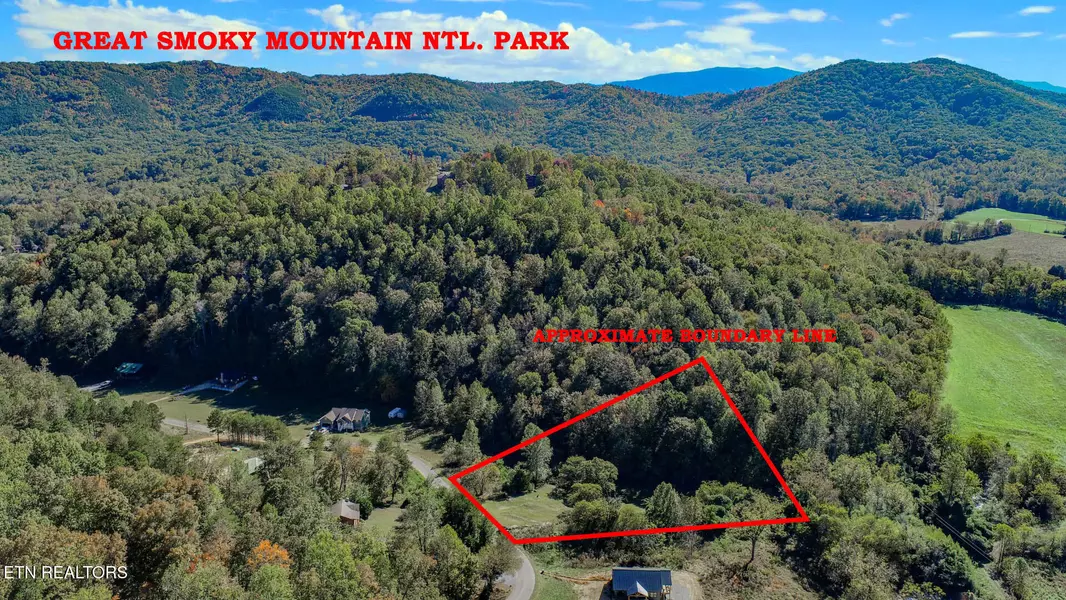 2409 Perilla Dr, Cosby, TN 37722