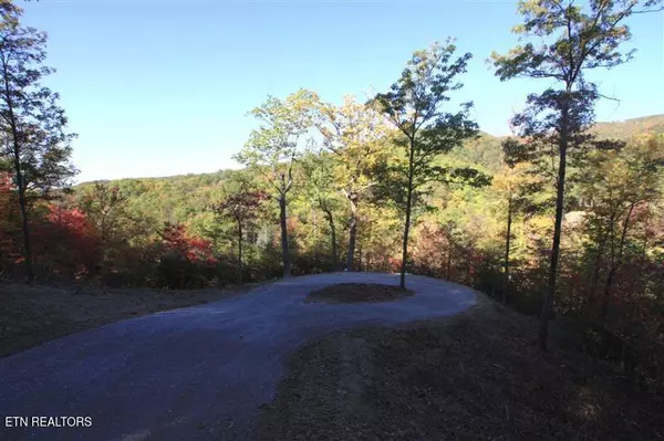 Sevierville, TN 37862,0 Fern Point Dr