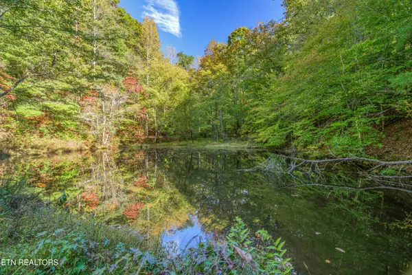 Harriman, TN 37748,130 Anderson LN