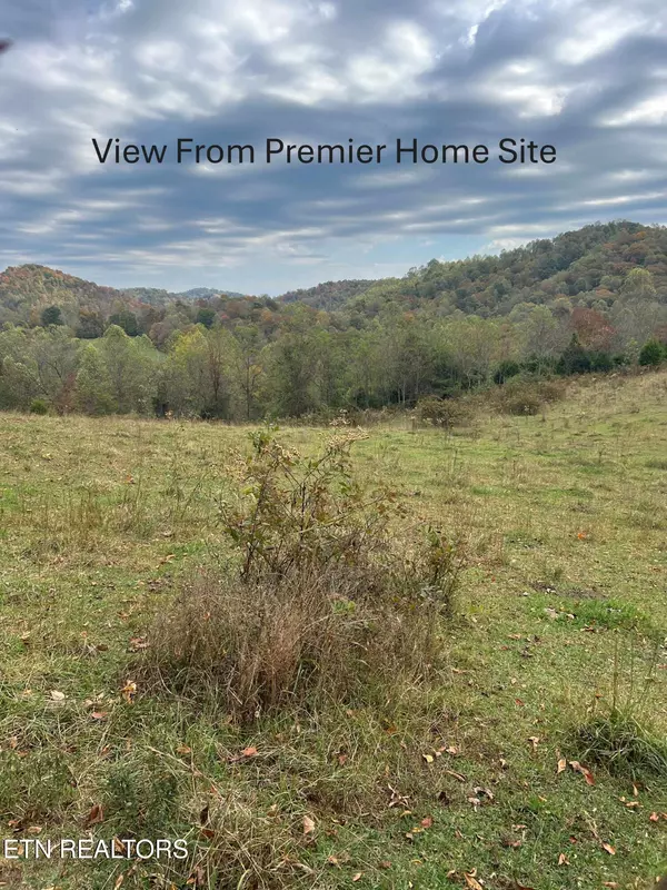 Sneedville, TN 37869,TBD Paul Trent Rd