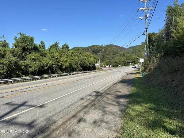 Tellico Plains, TN 37385,Carringer CIR