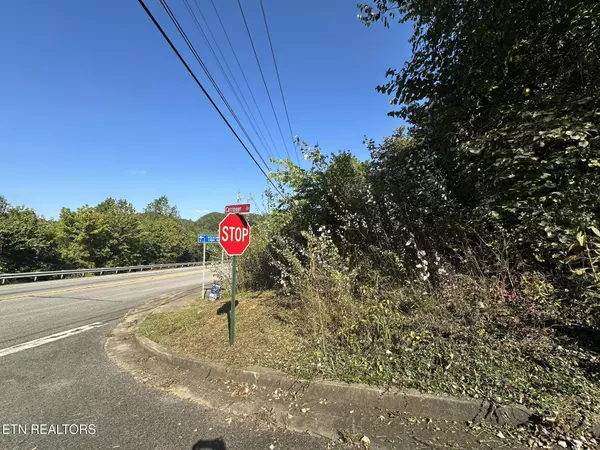 Tellico Plains, TN 37385,Carringer CIR