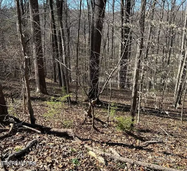 Rocky Top, TN 37769,206 Cumberland View