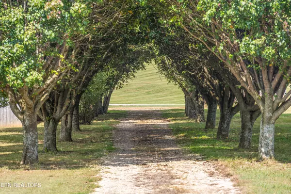 Madisonville, TN 37354,1569 Niles Ferry Rd