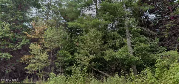 0 Ross Williams Rd, Lancing, TN 37770
