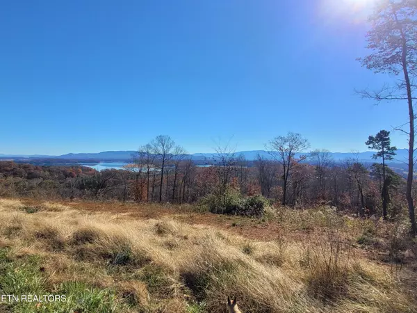 Kodak, TN 37764,2812 Burnett DR