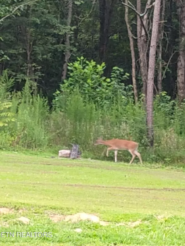 Etowah, TN 37331,1391 County Road 609