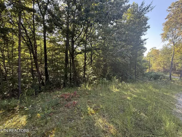 Sevierville, TN 37862,Covemont Rd