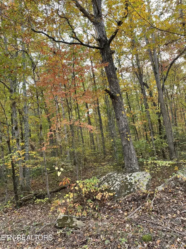 2.44 Acres Old Grimsley Rd, Grimsley, TN 38565