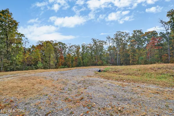 Crab Orchard, TN 37723,320 Upper Eagles Nest Rd