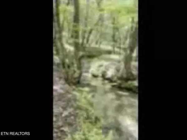 Sunbright, TN 37872,Peter Ford Rd